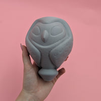 The Owl House Owlbert Cosplay Staff Top Kit