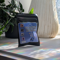 Mini Gamecube Phone Charm Blindbag Gacha