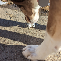 Yippee TBH Autism Creature Keychain
