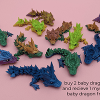 Baby Articulated Dragons