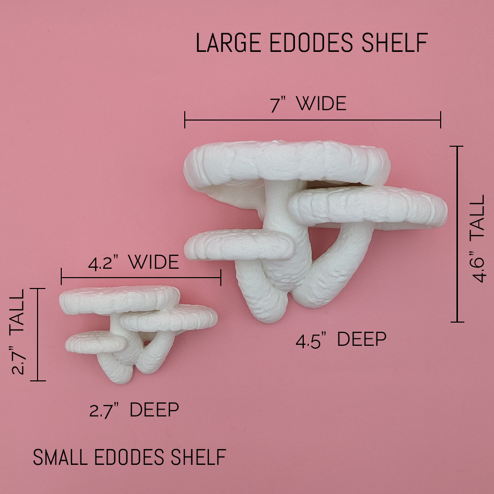 Edodes Mushroom Wall Shelf