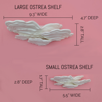 Ostrea Mushroom Wall Shelf